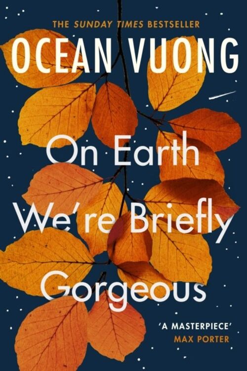 On Earth Were Briefly Gorgeous by Ocean Vuong