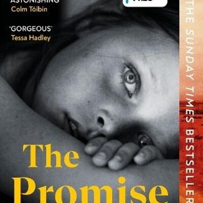 The Promise by Damon Galgut