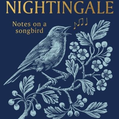 The Nightingale by Sam Lee