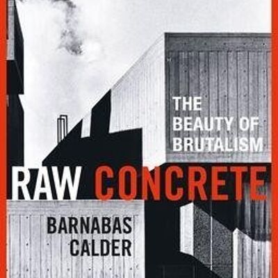 Raw Concrete by Barnabas Calder