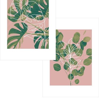Minimal Plants Print Bundle - 50x70 - Matte