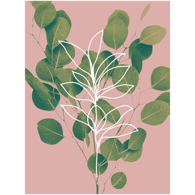 Eucalyptus Minimal Print - 50x70 - Opaco