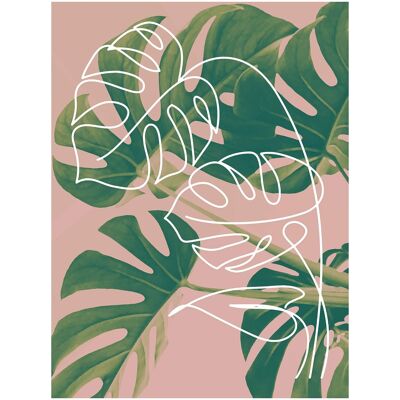 Monstera Minimal Print - 50x70 - Opaco