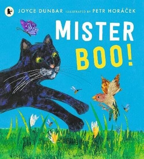 Mister Boo by Joyce Dunbar