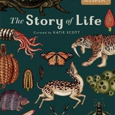 The Story of Life Evolution Extended Edition by Ruth Symons