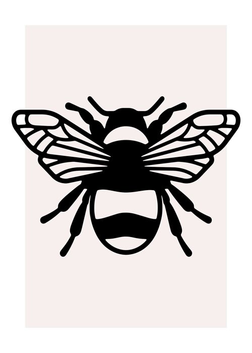 Bee Black And White Illustration Print - 50x70 - Matte