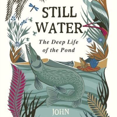 Still Water by John LewisStempel