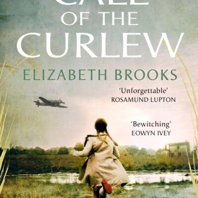 Call of the Curlew by Elizabeth Brooks