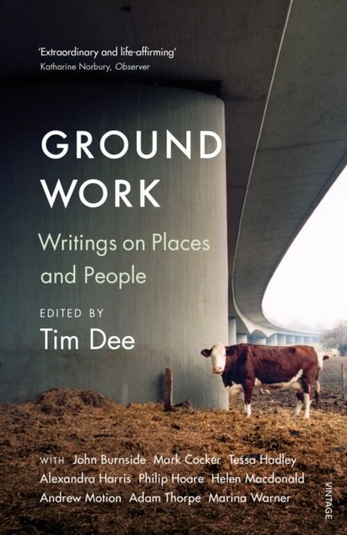 Ground Work by Tim Dee