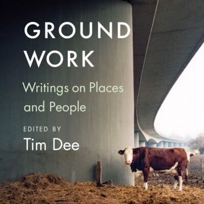 Ground Work by Tim Dee