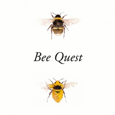 Bee Quest by Dave Goulson