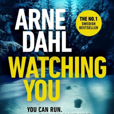 Watching You by Arne Dahl
