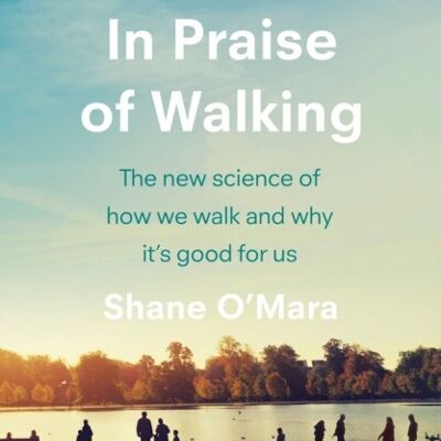 In Praise of Walking by Shane OMara