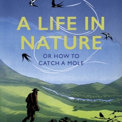A Life in Nature by Marc Hamer