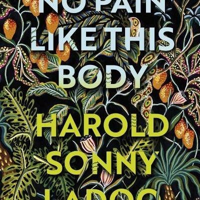 No Pain Like This Body by Harold Sonny Ladoo