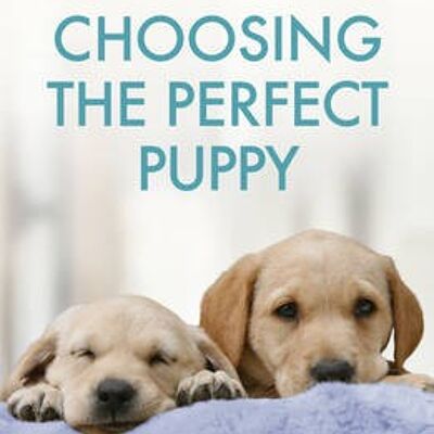 Choosing the Perfect Puppy by Pippa Mattinson