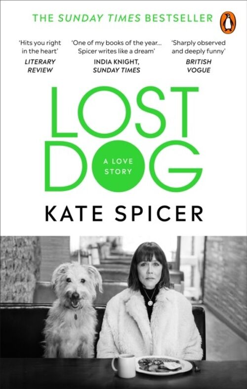 Lost Dog by Kate Spicer