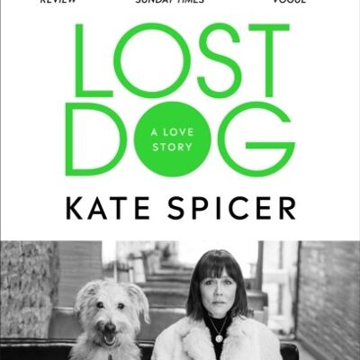Lost Dog by Kate Spicer