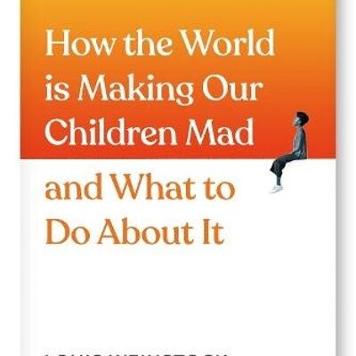 How the World is Making Our Children Mad by Louis Weinstock