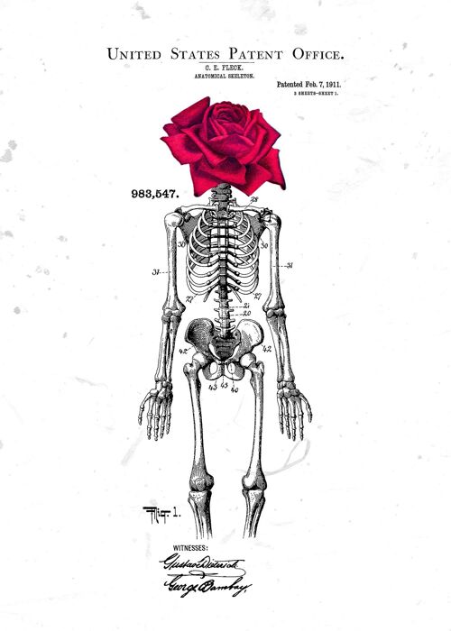 Skeleton Rose Print White - 50x70 - Matte