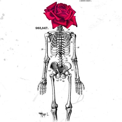 Skeleton Rose Print White - 50x70 - Matte