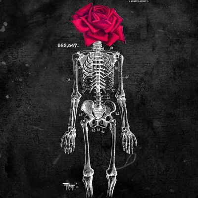 Skeleton Rose Print Schwarz - 50x70 - Matt