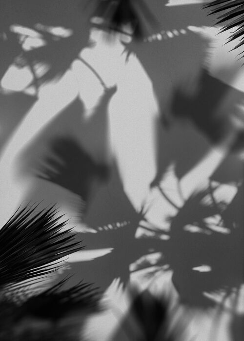 Palm Trees Shadow Print - 50x70 - Matte