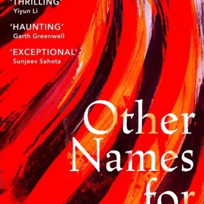 Other Names for Love by Taymour Soomro