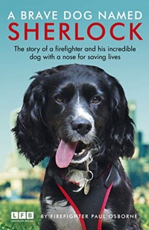 A Brave Dog Named Sherlock by Paul Osborne
