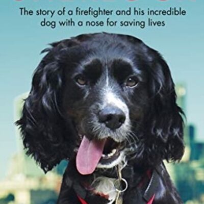 A Brave Dog Named Sherlock by Paul Osborne