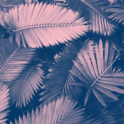 Foliage Pink and Blue Print - 50x70 - Matte