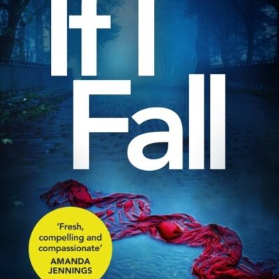 If I Fall by Merilyn Davies