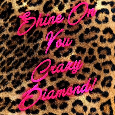 Shine On You Crazy Diamond Leopard Print - 50x70 - Matte