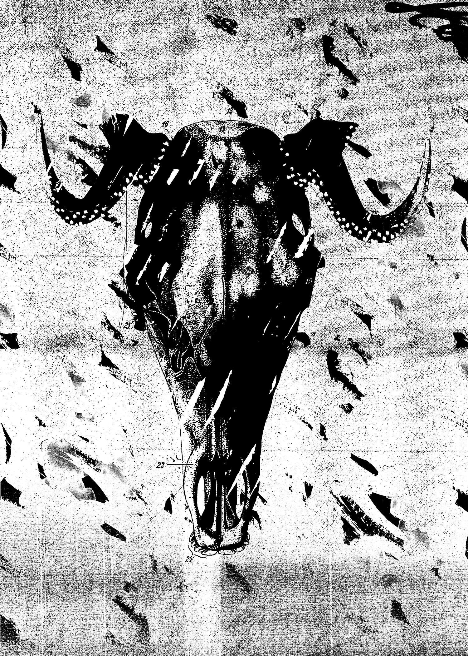 Geweihdruck - 50x70 - Matt