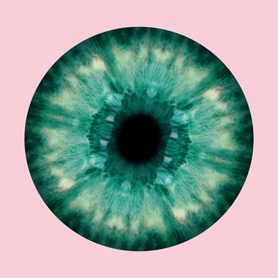 Stampa bulbo oculare rosa e verde - 50x70 - Opaco