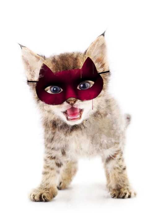 Super Kitten! Little Heroes Animal Print - 50x70 - Matte