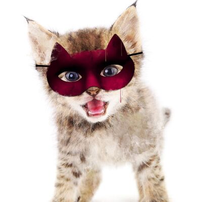 Super Kitten! Little Heroes Animal Print - 50x70 - Matte