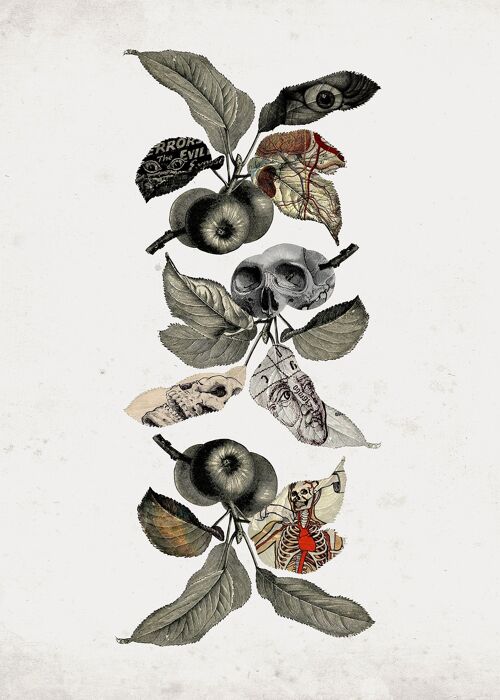 Botanical Skulls Print - 50x70 - Matte