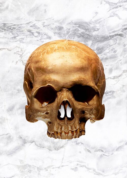 Gold Skull Marble Print White - 50x70 - Matte