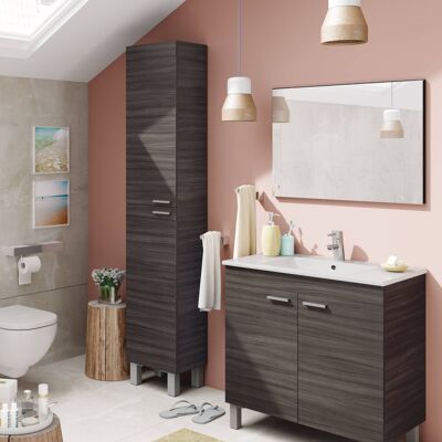 Dmora Colonna Bagno Hollywood, Mobile a colonna per bagno a 2 ante, Armadio pensile sospeso con 2 ripiani, cm 30x25h182, Grigio cenere