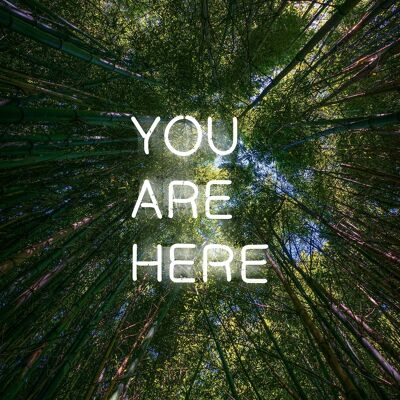 You Are Here Foresta Neon Stampa - 50x70 - Opaco