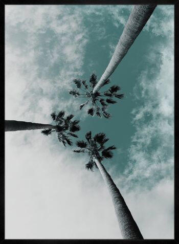 Impression de perspective 3 palmiers - 50x70 - Mat 3