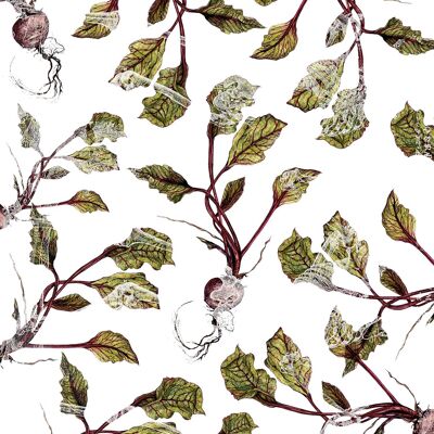 Botanical Beetroot Print - 50x70 - Matte