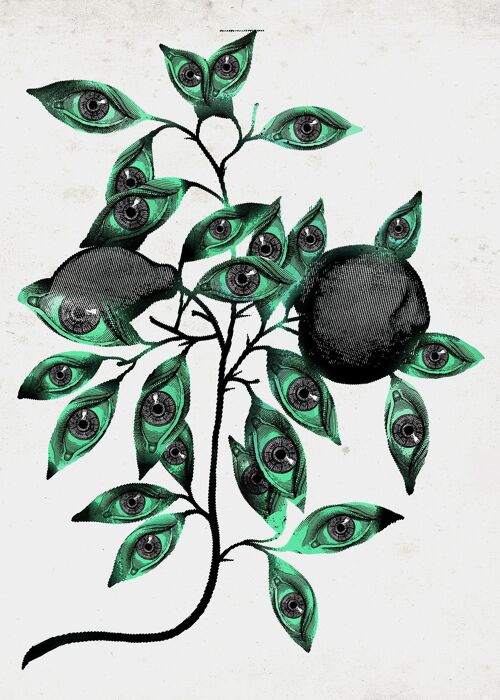 Botanical Eyes Print - 50x70 - Matte