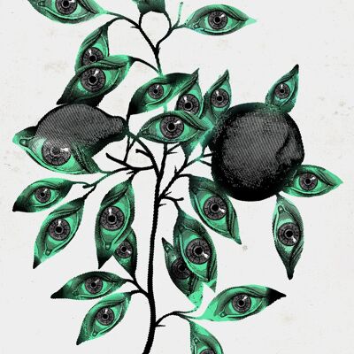 Botanical Eyes Print - 50x70 - Matte