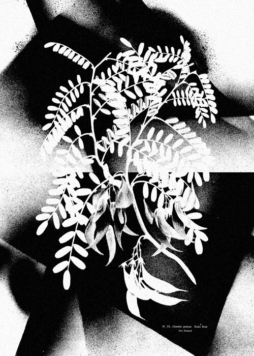 Botanical 8 Floral Spray Print - 50x70 - Matte