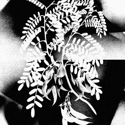 Botanical 8 Floral Spray Print - 50x70 - Opaco