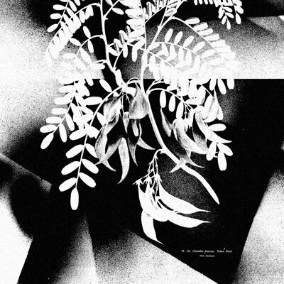 Botanical 8 Floral Spray Print - 50x70 - Matt