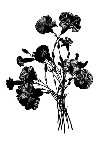 Bouquet Vintage Noir et Blanc 1 - 50x70 - Mat 1