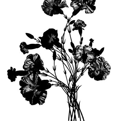 Schwarz-Weiß-Vintage-Blumenstrauß 1 - 50x70 - Matt